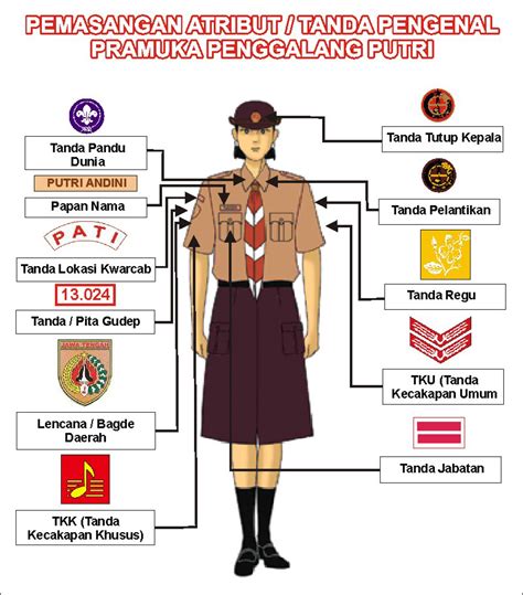 Baju Pramuka Cowok: Panduan Lengkap dan Tips Memilih Terbaik