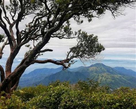 Menjelajahi Asal-Usul Suku Samin: Dari Mana Mereka Berasal?