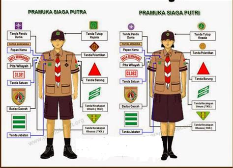 Panduan Lengkap Memilih Baju Pramuka SMP Cowok: Tampil Keren dan Nyaman