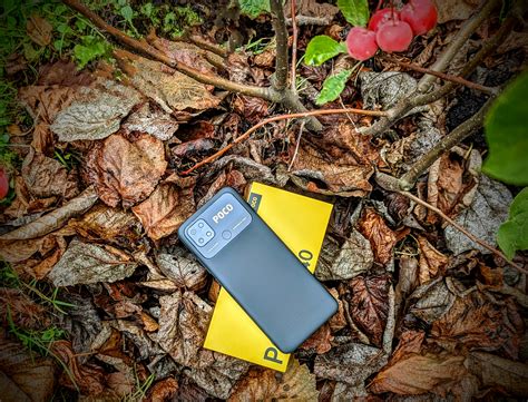 Xiaomi Poco: The Undisputed King of Budget Smartphones?